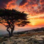 AdobeStock_897888033